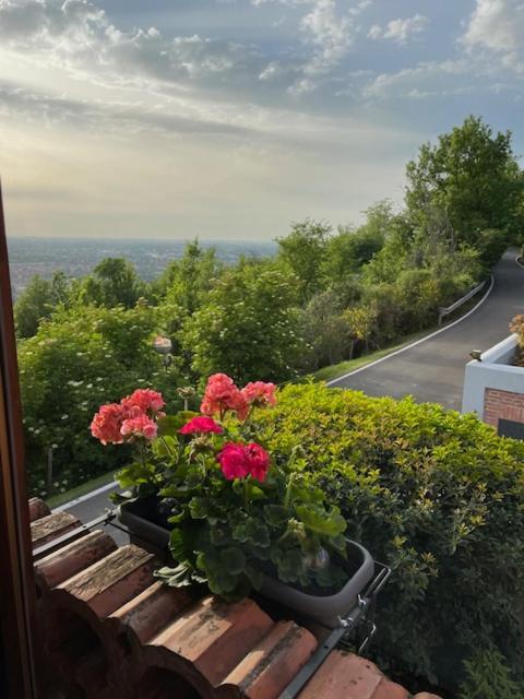 Podere Boschetto R&B Bologna Exterior photo